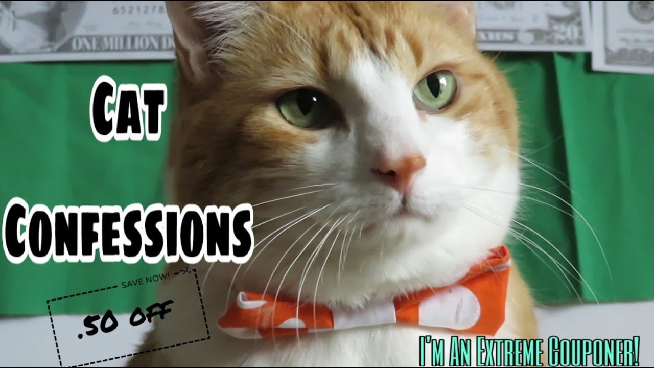 Cat Confessions | I'm An Extreme Couponer