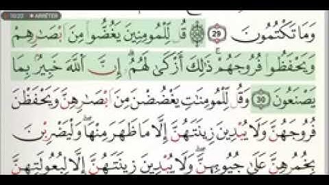 سورة النور برواية ورش عن نافع الشيخ ياسين الجزائري 