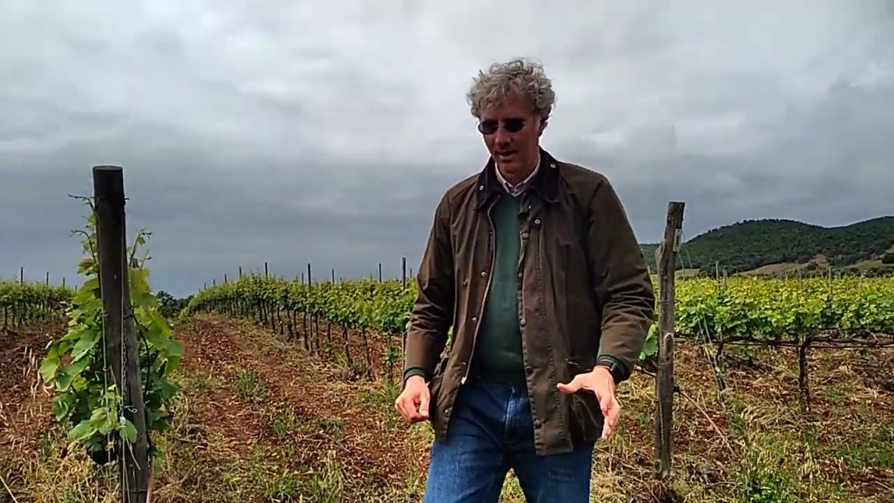 Tenuta Montauto, Toscana: Slow Wine 2024