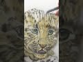 Painting a cute leopard cub with artist Angela Gaughan