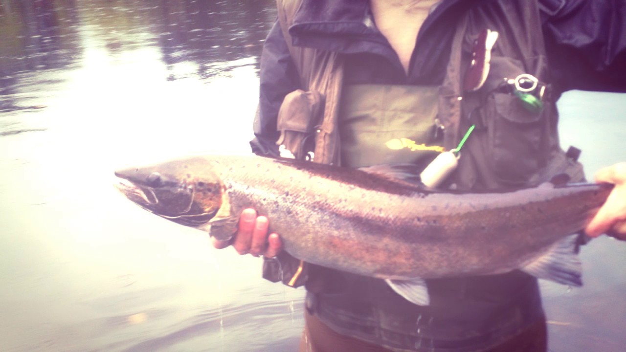 Scotland Fishing: River Ness and salmon fishing - YouTube