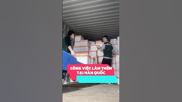 Công Việc Làm Thêm Cho Du Học Sinh Hàn Quốc | Việc Làm Phổ Biến, Thu Nhập