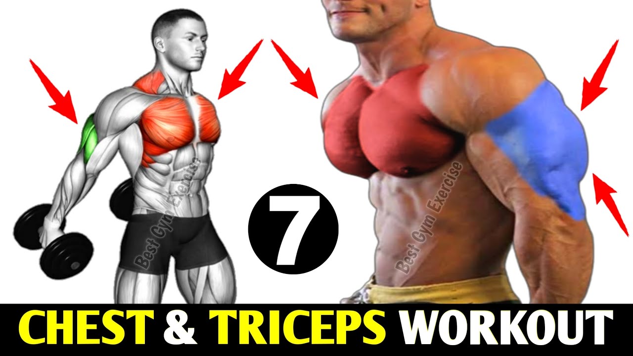 7 Best Chest And Triceps Workout - chest and tricep - YouTube