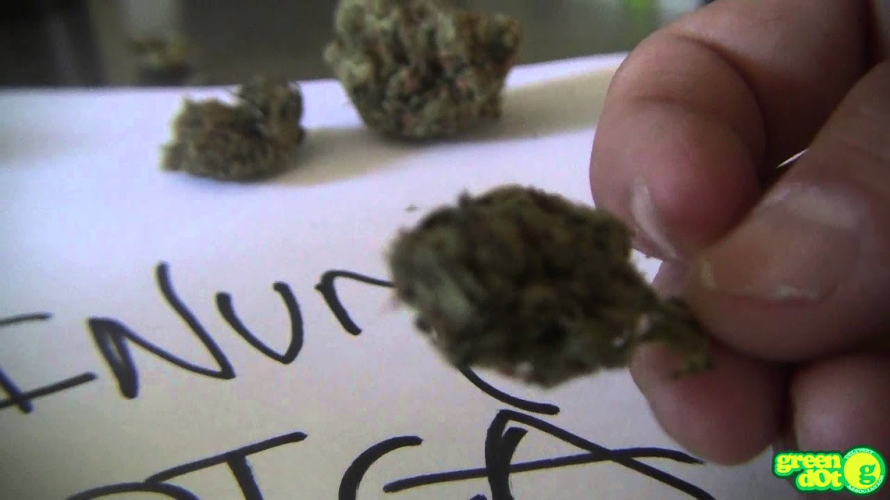 Daily Toke - Platinum OG (So High)