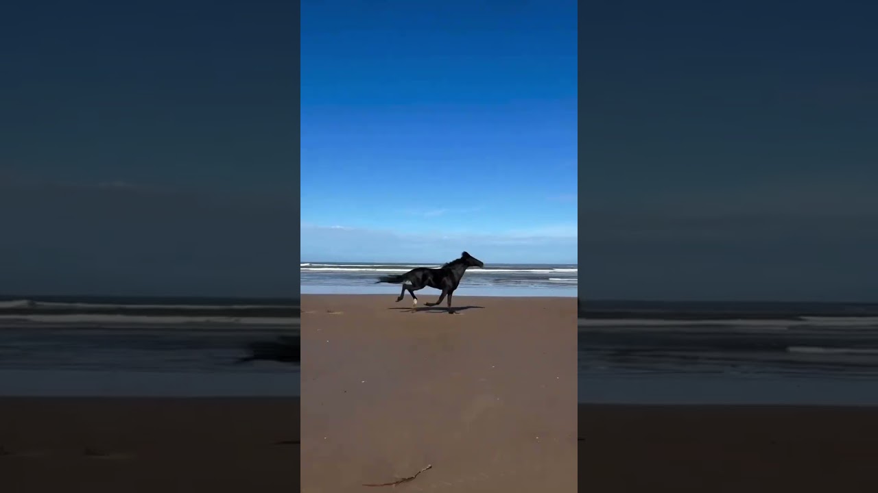 The power of freedom is ultimate ❤️