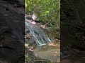 Waterfall Landrum SC