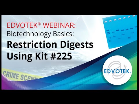 Biotechnology Basics: Restriction Digests using Kit 225