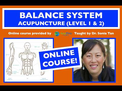 Balance System Acupuncture Online Course Level 1 and 2