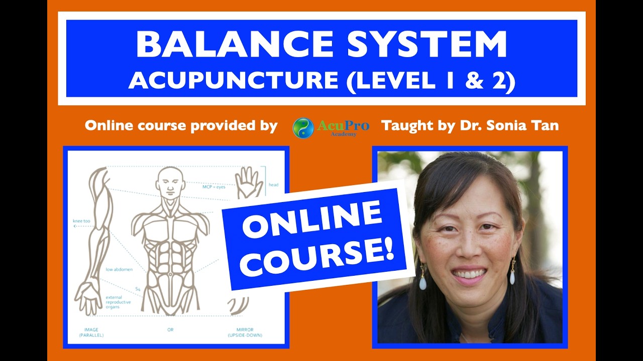Balance System Acupuncture Online Course Level 1 and 2 - YouTube