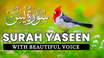 Most beautiful recitation of Surah Yaseen (Yasin) سورة يس | quran recitation | islam ki chahat