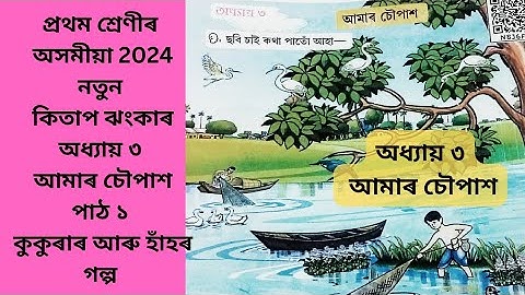 অধ্যায় ৩ আমাৰ চৌপাশ পাঠ ১  কুকুৰা আৰু হাঁহ প্ৰথম শ্ৰেণীৰ অসমীয়া SCERT ASSAM ২০২৪ ঝংকাৰ