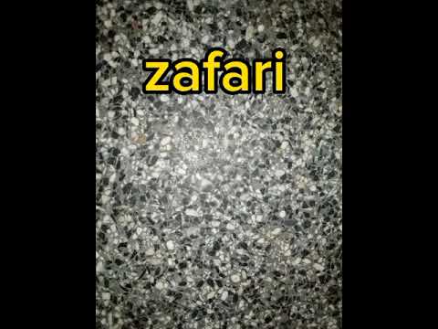 MITARI - zafari (oficial vídeo)