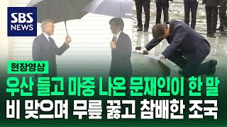 우산 쓰고 마중 나온 문재인에 웃으며 인사한 조국…고 노무현 전 대통령 묘역에선 비 맞으며 무릎 꿇고 참배 (현장영상) / SBS