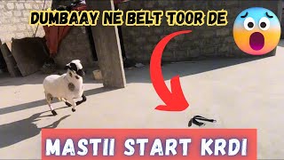 DUMBAAY NE BELT TOOR DE😱 .... MY FIRST VLOG🤗