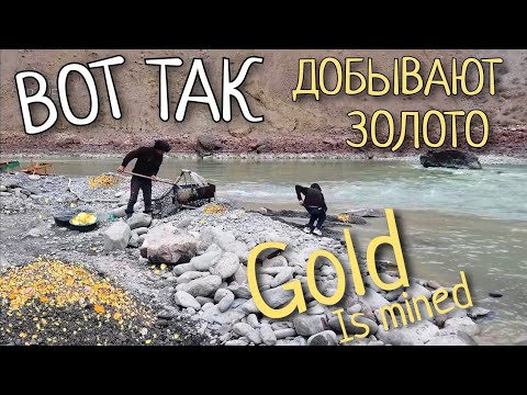 Видео: Как добывают золото, Река Заравшан 2021, Таджикистан. How gold is mined. Zarafshan river. Tajikistan