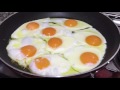 تخم مرغ نيمرو نيلوفر كرامتي Egg 