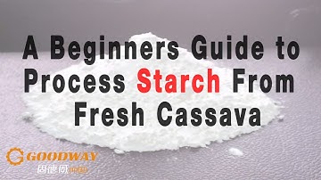 Goodway Cassava Starch(Tapioca) Production Line: A Beginners Guide to Process Starch from Cassava