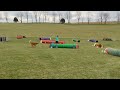 Leia- "Mongo"-Novice tunnelers, run #2