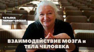 Взаимодействие мозга и тела человека. Татьяна Черниговская