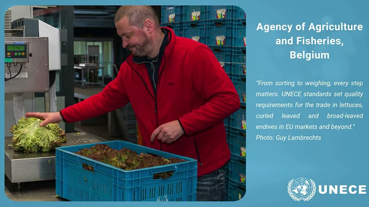 Impact of UNECE agricultural auality standards: examples from countries