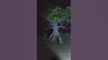 Walking Tree Rushed Me From the Woods!