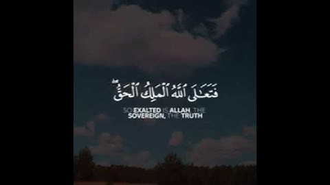 تلاوة خاشعة ومميزة للقارئ عبدالله الموسى ⚘🌹/ حالات واتس اب دينية