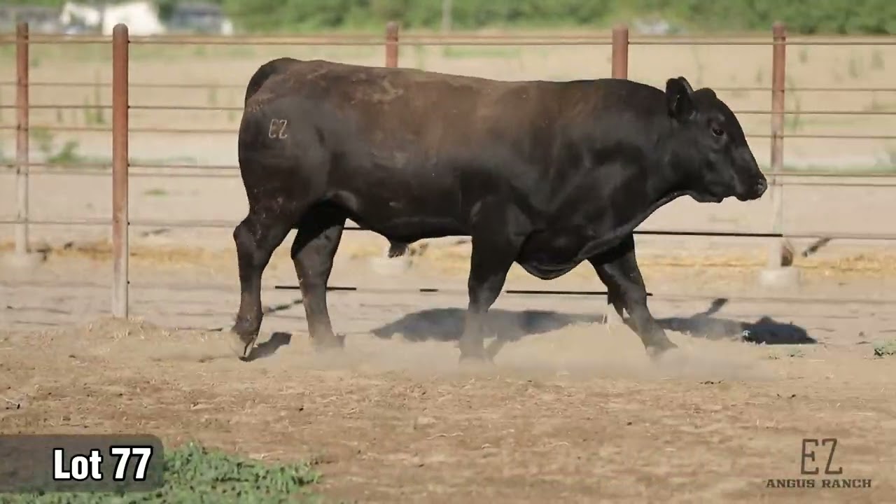 Lot 77  EZAR Home Town 2208