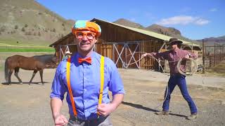 Blippi Learns About Horses | Animals For Kids | Educational Videos For Toddlers
