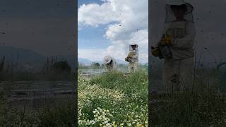 Keşke Hep Bu Hızda Çalışılsa Şfet Şfetebeniöneçıkar In I Icılık