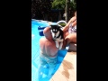 Bandits 1st time in the pool