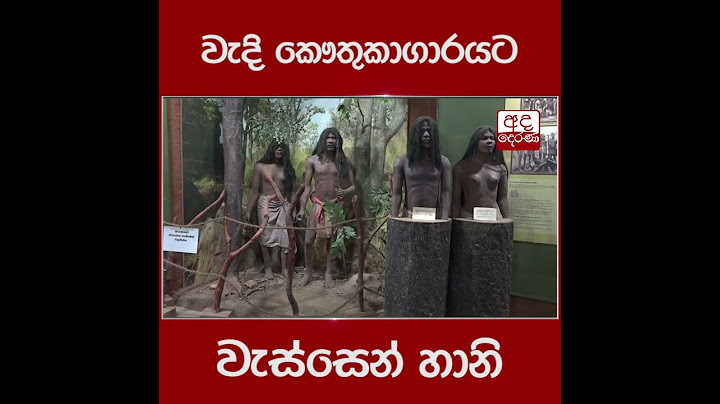 වැදි කෞතුකාගාරයට වැස්සෙන් හානි...