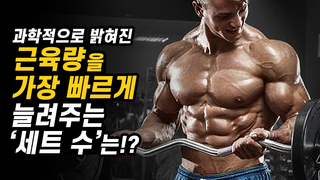 '근육량 증가'를 위한 최적의 '세트 수'를 알아봅니다 (+반복횟수/중량 설정하는 방법)