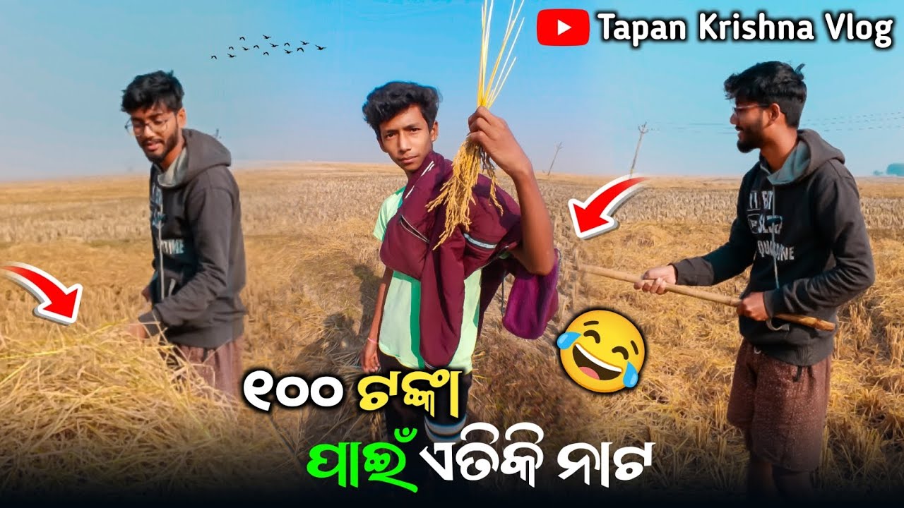 100 Tanka pai eatiki nata | Daily Vlog | Odia Vlog | Village Life | Tapan Krishna Vlog 