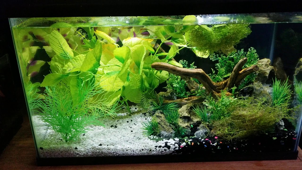 Aquaculture 10 gallon tank kit review YouTube