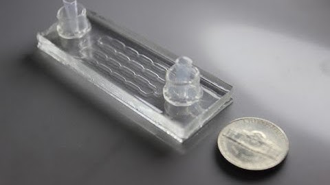 A microfluidic platform for in situ investigation of biofilm formation