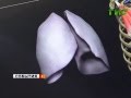Атлас анатомии человека в формате 3D