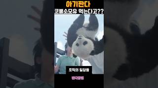 아기판다가코뿔소모유먹는이유#판다플랜#성룡#판다#팝콘무비#가족영화