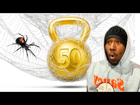 Spider Web Strength Test: How Much Weight Before It Breaks?