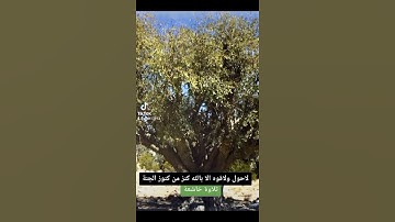 تلاوة خاشعة الشيخ عبدالله البعيجان