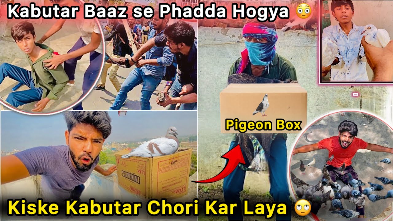 Finally Nitesh is Back With Big Suprise 🤑 || Kabutar Baaz se Ladai Hogyi 😮 || Chori k kabutar Agye🕊️