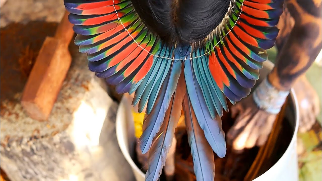 História tradicional Huni Kuī - O surgimento da sagrada medicina Nixi Pae (Ayahuasca)