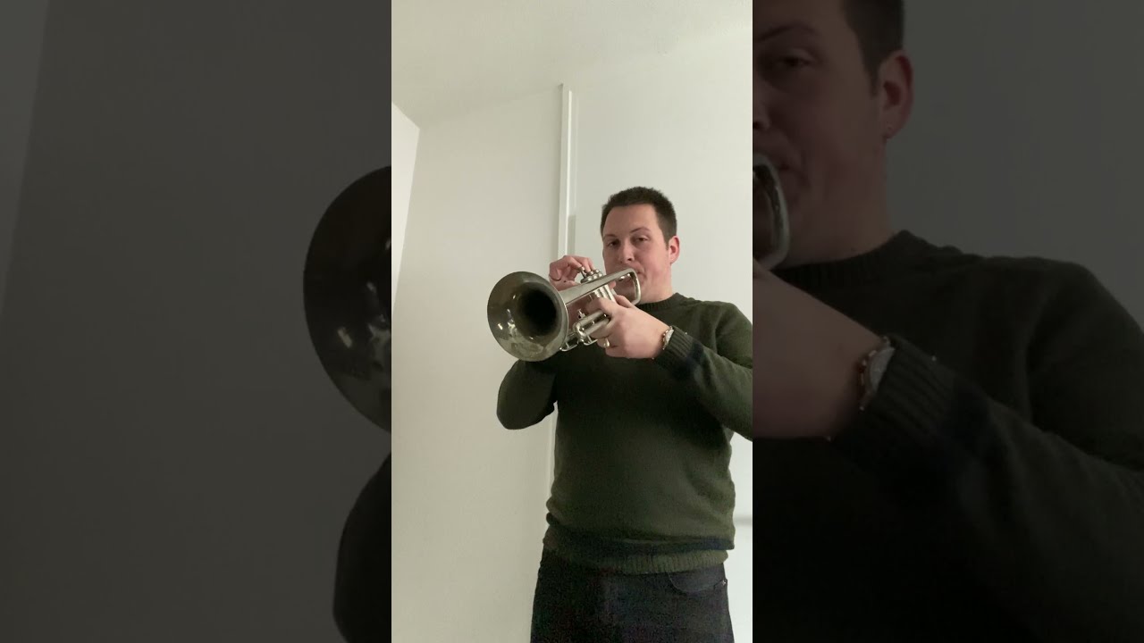 HUTTL LINE800 トランペット HUTTL Trumpet LINE 800 | eBay