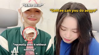 Elgehl Being Chaotic In Their Weverse Live