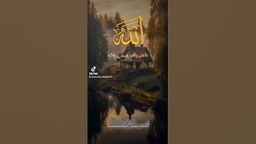 سورة الرحمن "علم القران أول وأعظم نعمة"الشمس والقمر والميزان دلائل قدرة الله" آيات تخشع لها القلوب .