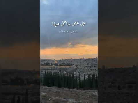 ميل على بلدي لتشوف كيف البحر بيضحكلك غزل غريب و شلبي يونس