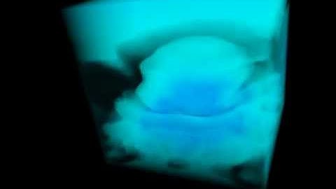 DirectCompute - Time-Varying Volumetric Data animation