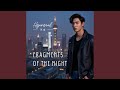 FRAGMENTS OF THE NIGHT (feat. mexiaolu)