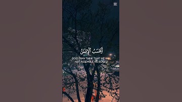 قرآن كريم #القزابري #اكسبلور #المصحف #quran #راحة_نفسية #قران_كريم #ترند #explore
