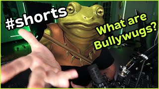 What is a Bullywug in D&D?