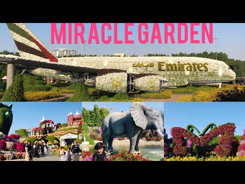 Dubai Miracle Garden|| WoW ! World's largest natural flower garden || 2021-2022